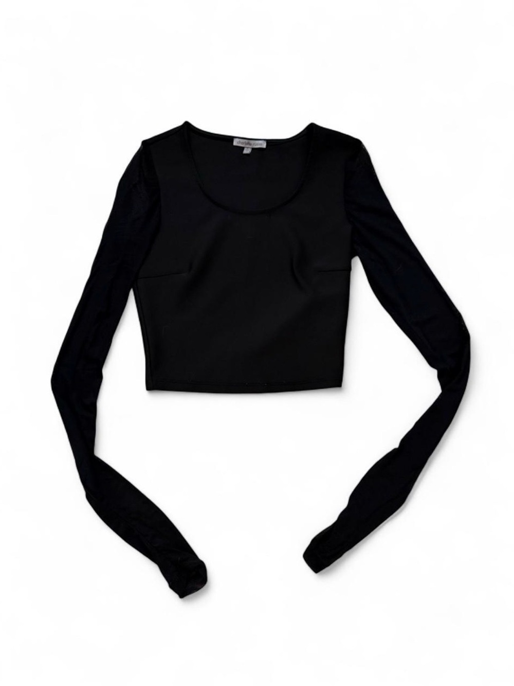Black Long Sleeve Crop Top With Sheer Sleeves